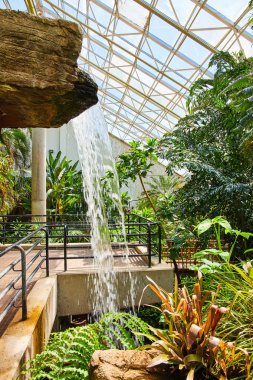 Image of Waterfall inside rain forest greenhouse with glass ceiling
