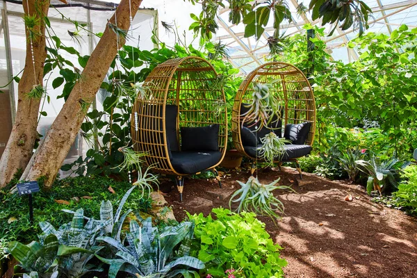 Image Two Chairs Greenhouse Gardens — 스톡 사진