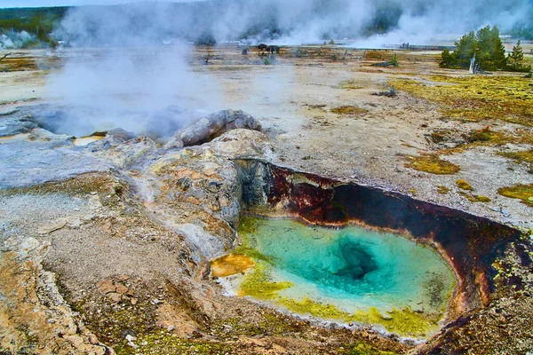 Image Yellowstone Thermal Pools Sulfur Steam — Stock Photo, Image