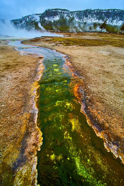 Изображение Зимних Зеленых Ручьев Йеллоустоне Бассейне — стоковое фото