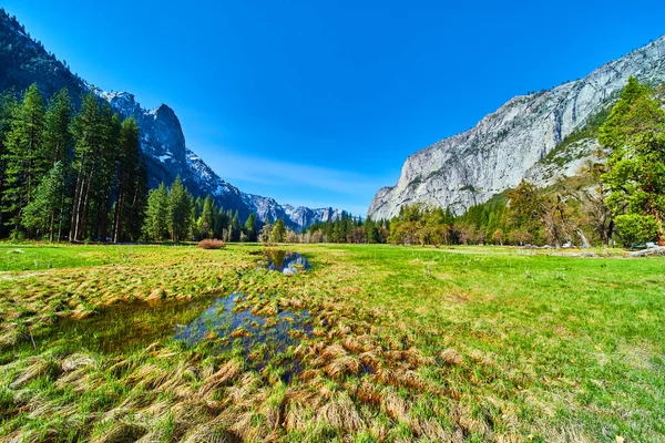 Image Yosemite Valley Views Lush Fields Mountains — Foto de Stock