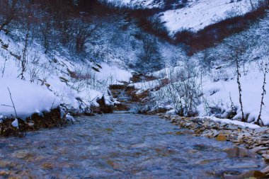 Ormanda eriyen taze bir kar akıntısıyla bir dağ nehrine yürümek.