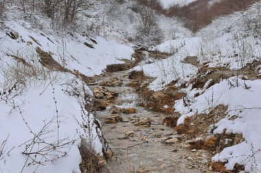 Ormanda eriyen taze bir kar akıntısıyla bir dağ nehrine yürümek.