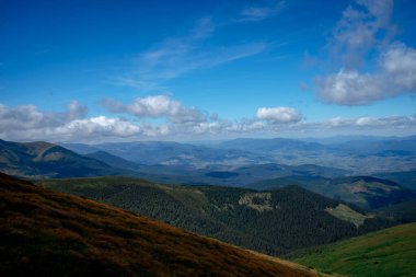 Önplanında yeşil ağaçlar olan güzel bir manzara.