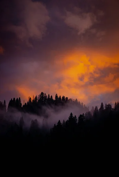 Kaunis Auringonlasku Vuorten Yli Maisema Metsässä — kuvapankkivalokuva