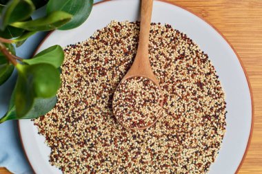 Çiğ kinoa tanelerini porselen bir tabağa karıştırdım. Vejetaryen gıda konsepti.