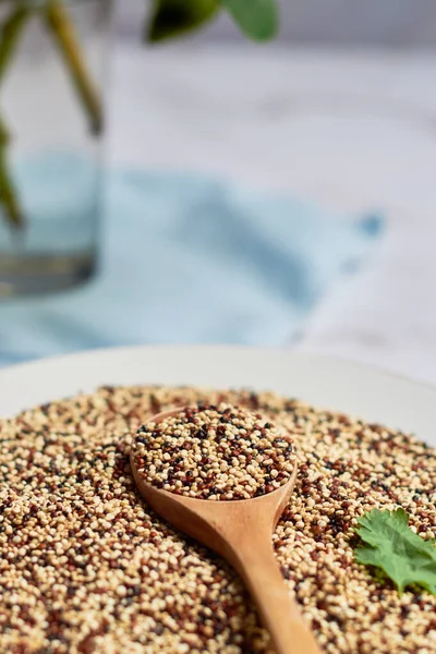 Grãos Quinoa Misturados Crus Servidos Prato Elegante Conceito Estilo Vida — Fotografia de Stock