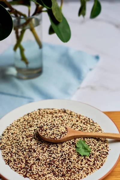 Grãos Crus Quinoa Misturados Uma Placa Porcelana Conceito Comida Vegan — Fotografia de Stock