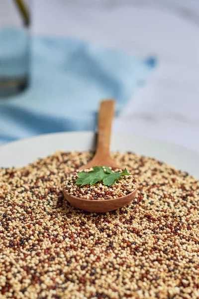 Grãos Crus Quinoa Tricolor Servidos Uma Placa Com Uma Colher — Fotografia de Stock