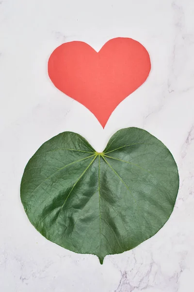 Зеленая Энергия Esg Возобновляемые Устойчивые Ресурсы Зеленый Лист Форме Сердца — стоковое фото