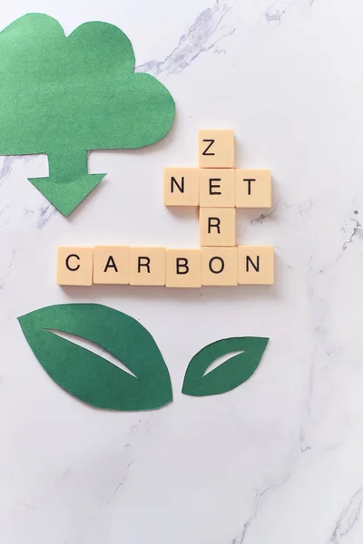 Co2 Net Zero Emisyonu Karbon Tarafsızlık Kavramı — Stok fotoğraf
