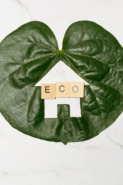 Sürdürülebilir Bir Figürü Yeşil Eko Kavramı — Stok fotoğraf