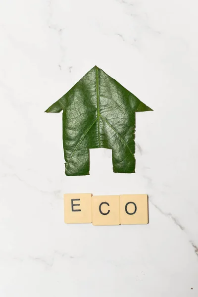 Eco Home Icoon Concept Van Duurzaam Alternatief Leven — Stockfoto