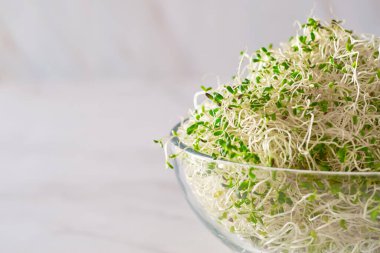 Sprouted alfalfa seeds on a marble table. clipart