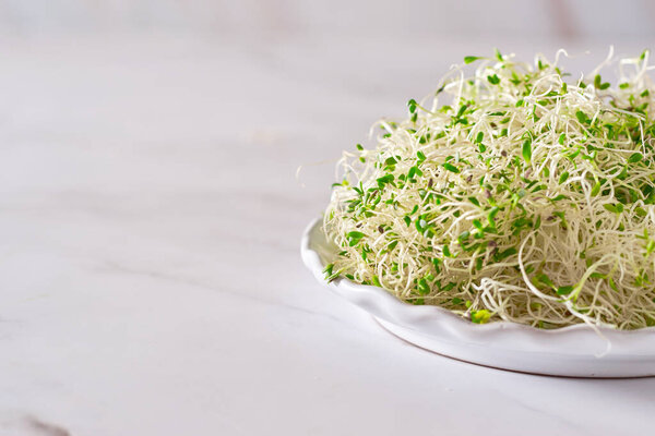 Fresh alfalfa sprouts on a white marble table.