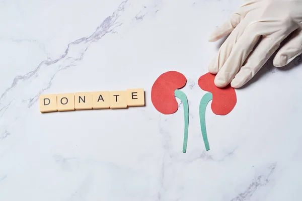 Organ donation concept, kidney donation