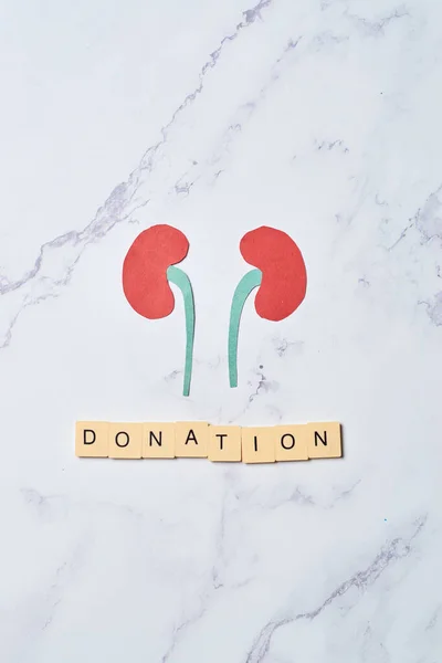 Organ donation concept, kidney donation