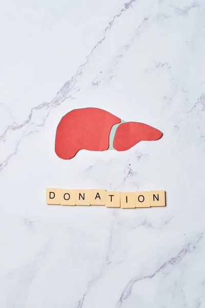 healthy liver organ donation concept