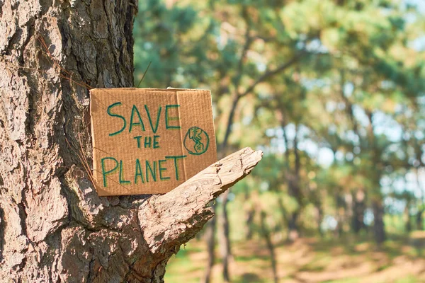 Young Teenage Man Holding Sign Says Planet Forest — Foto de Stock