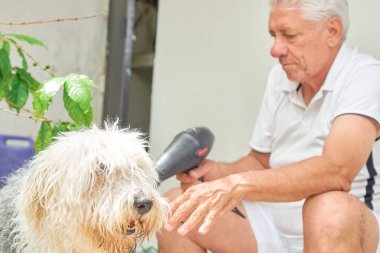 Olgun bir adam arka bahçesinde kısa kuyruklu köpeğini yıkıyor..