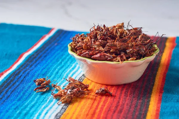 Chapuliner Eller Gräshoppor Traditionellt Mellanmål Från Oaxaca Mexico — Stockfoto
