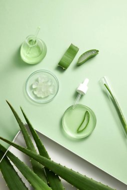 Aloe Vera laboratuvarda, aloe vera araştırma reklamcılığı, fotoğraf bilimi içeriği, üst görünüm için açık yeşil arka planda bir petri kabı düşürücü içeren araştırmalar çıkarıyor.