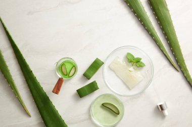 Aloe Vera laboratuvarda, aloe vera araştırma reklamcılığı, fotoğraf bilimi içeriği için beyaz arka planda bir petri kabı damlatıcısı olan bir araştırma çıkarıyor.