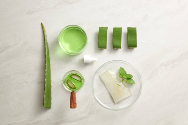 Aloe Vera laboratuvarda, aloe vera araştırma reklamcılığı, fotoğraf bilimi içeriği için beyaz arka planda bir petri kabı damlatıcısı olan bir araştırma çıkarıyor.