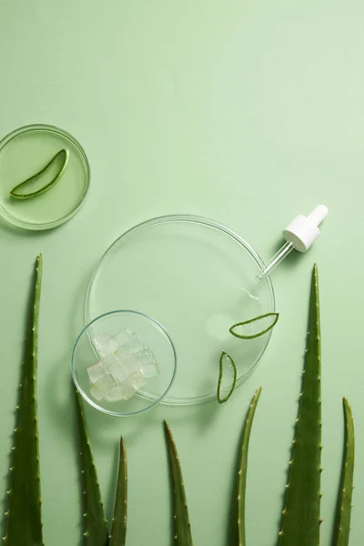 Aloe Aloe Vera Bakgrund Biokemi Biologi Flaska Flaskor Vård Kemi — Stockfoto