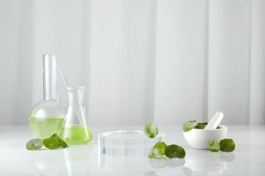 Biyolojik deney için Centella asiatica (Gotu kola) yaprakları ve biyolojik test tüplerinde yeşil su. Centella asiatica temelli kozmetik ürünleri