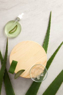 Aloe Vera laboratuvarda bir petri kabı ve aloe vera araştırma reklamları için beyaz arka planda ahşap bir tabak düşürücü ve fotoğraf bilimi içeriği içeren araştırmalar çıkarıyor.