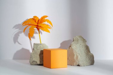 Turuncu daire ve kare podyum, beyaz arka planda reklam için bir çiçek, ön manzara, soyut içerik