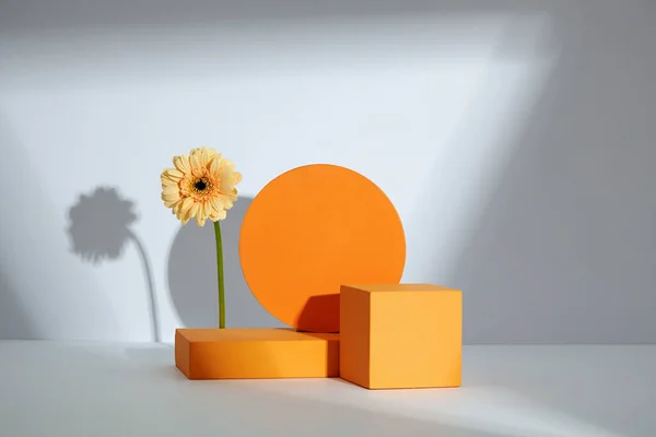 フロントビュー 抽象的なコンテンツのための白い背景に花とオレンジ色の円と正方形の表彰台 — ストック写真