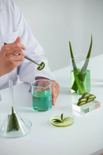 Extracto Aloe Vera Placa Petri Fondo Blanco Laboratorio Hoja Verde — Foto de Stock