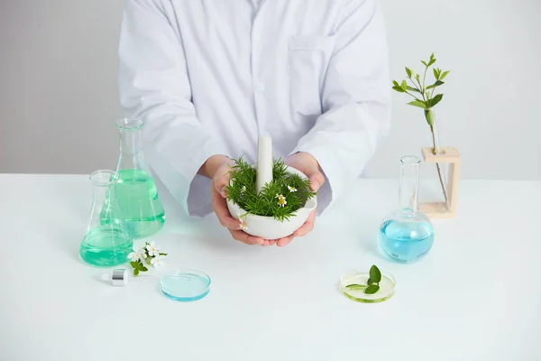 Рослини Квіти Екстрактують Чашці Петрі Білому Фоні Лабораторії Зеленому Листі — стокове фото