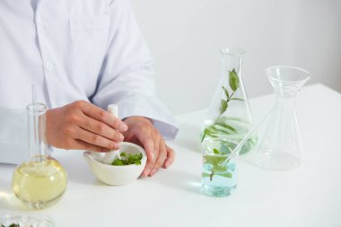Bitkiler ve çiçekler petri kabından elde edilir ve laboratuvarda beyaz bir arka plan, test tüpünde yeşil yaprak ve kozmetik reklamcılık için doktor, fotoğraf bilimi konsepti