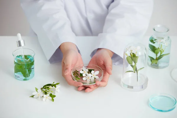 꽃들은 페트리 접시와 실험실의 시험관의 화장품 광고를 개념에서 — 스톡 사진