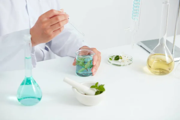 植物や花はペトリ皿に抽出し 実験室で白い背景 化粧品広告のためのテスト管と医師の緑の葉 写真科学の概念 — ストック写真