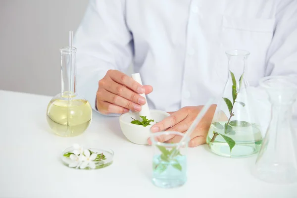 Extracto Plantas Flores Placa Petri Fondo Blanco Laboratorio Hoja Verde — Foto de Stock