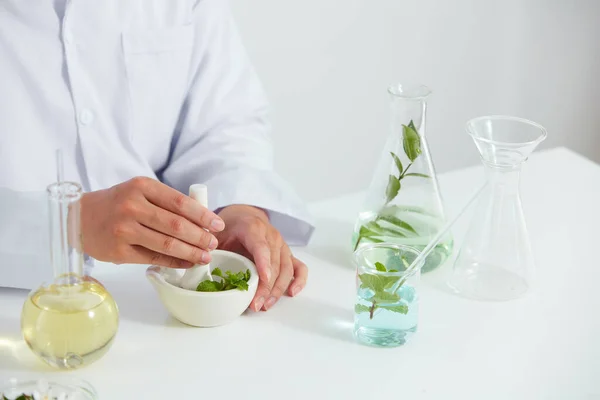 Pflanzen Und Blütenextrakt Petrischale Und Weißem Hintergrund Labor Grünes Blatt — Stockfoto