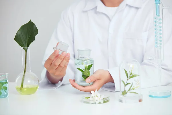 Plantas Flores Extrato Placa Petri Fundo Branco Laboratório Folha Verde — Fotografia de Stock