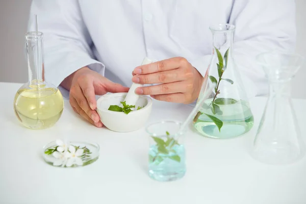 Növények Virágok Kivonat Petri Csészében Fehér Háttér Laboratóriumi Zöld Levél — Stock Fotó