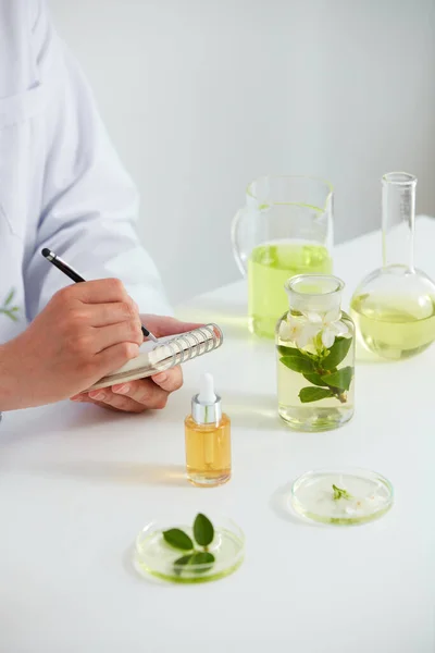 Plantas Flores Extrato Placa Petri Fundo Branco Laboratório Folha Verde — Fotografia de Stock