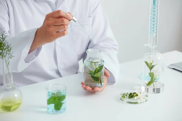 植物や花は ペトリ皿に抽出し 実験室で白い背景 化粧品広告のためのテスト管と科学者の緑の葉 写真科学の概念 — ストック写真