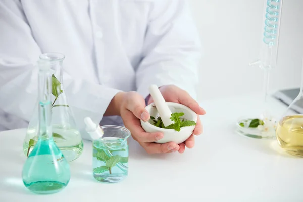 Plantas Flores Extrato Placa Petri Fundo Branco Laboratório Folha Verde — Fotografia de Stock