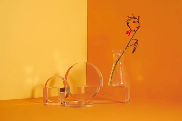 黄色の背景にリブでガラスと表彰台の花の最小限のシーン 化粧品を見るために立つ ガラス台座現代スタジオ黄色のステージショーケース — ストック写真