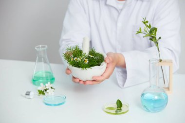 Bitkiler ve çiçekler petri kabından elde edilir ve laboratuvarda beyaz bir arka plan, test tüpünde yeşil yaprak ve kozmetik reklamcılık için doktor, fotoğraf bilimi konsepti