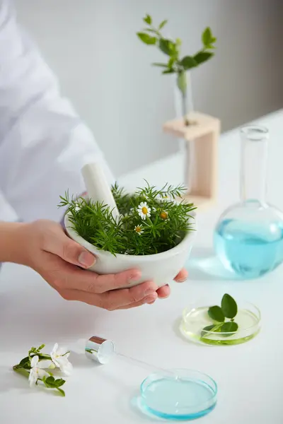 Plants and flowers extract in petri dish and a white background in laboratory , green leaf in a test tube and doctor for cosmetic advertising , photography science concept