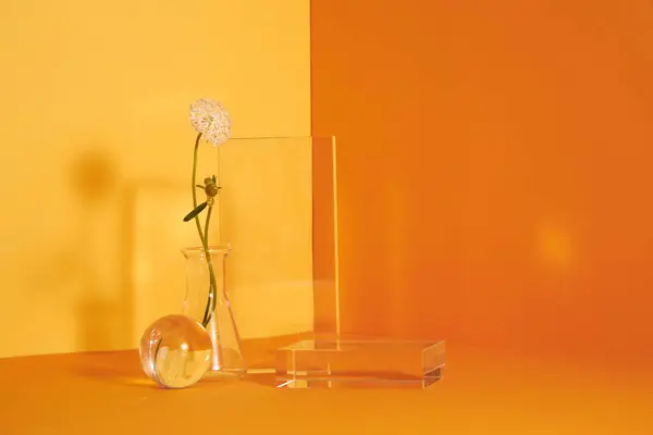 黄色の背景にリブでガラスと表彰台の花の最小限のシーン 化粧品を見るために立つ ガラス台座現代スタジオ黄色のステージショーケース — ストック写真