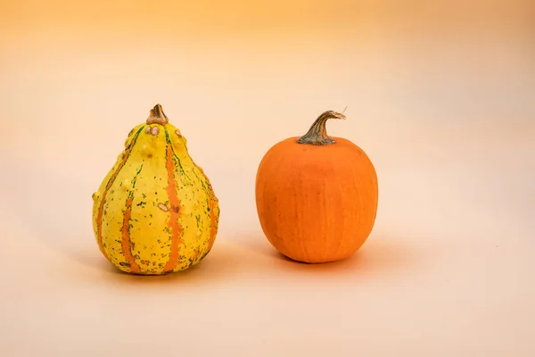 Une Citrouille Jaune Orange Sont Exposées Comme Décoration — Photo